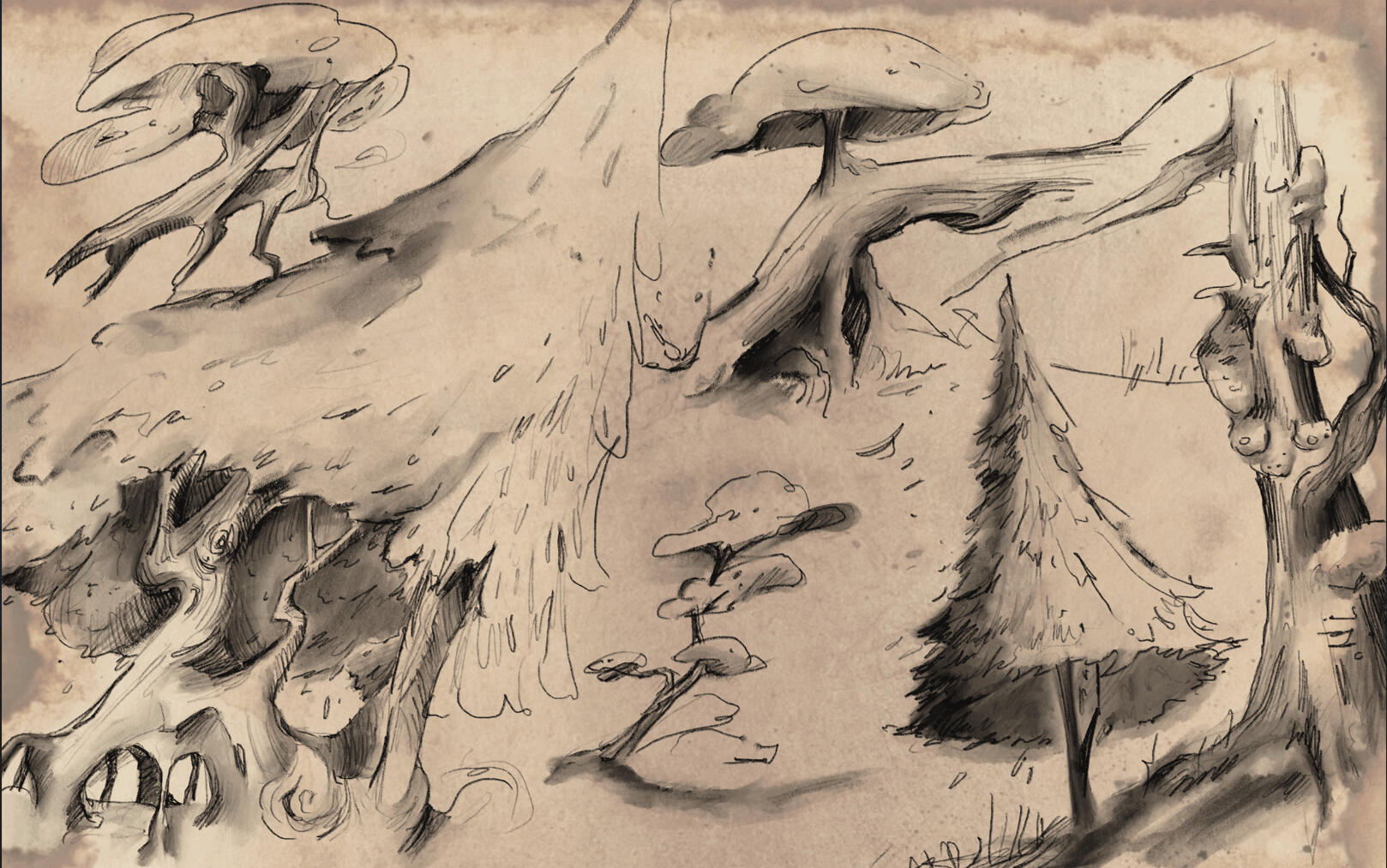 Foliage Studies